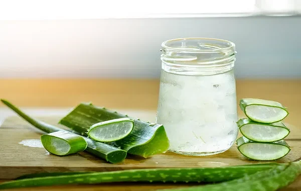Perawatan Rambut dengan Lidah Buaya: 7 Manfaat Utama