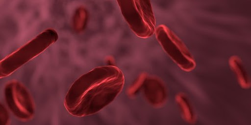 5 Panduan Hidup Sehat untuk Pembuluh Darah yang Lebih Kuat