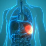 5 Hal yang Perlu Dihindari Agar Limpa Tetap Optimal